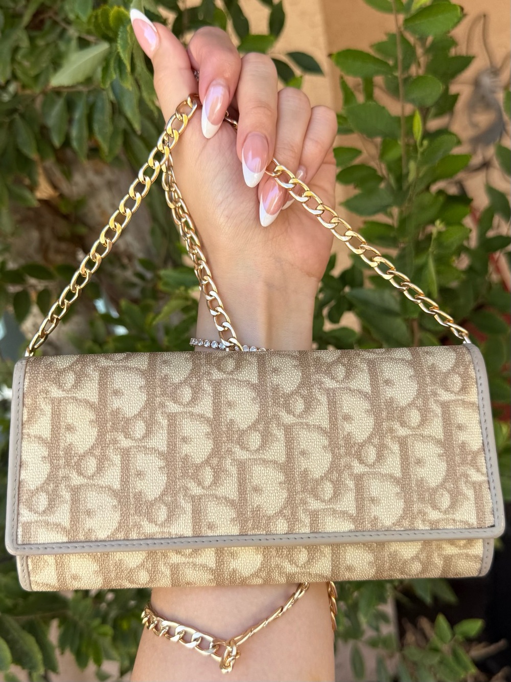Authentic DIOR Trotter Oblique Wallet On Chain